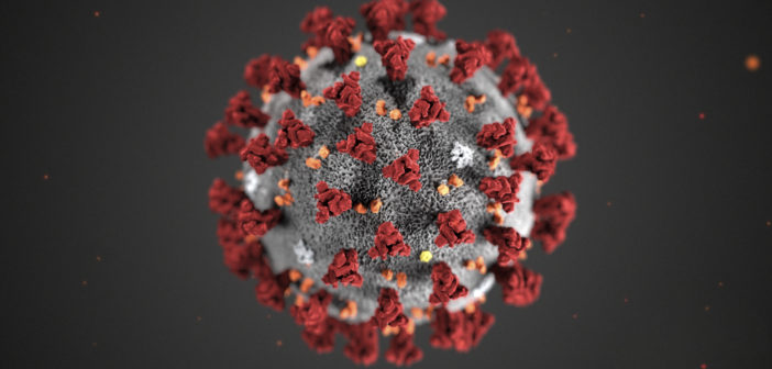 Corona-Virus als Grafik (Foto: ddp/ZUMA)