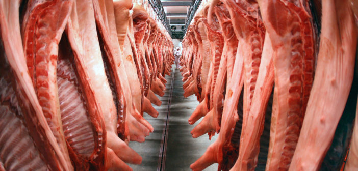 Bild von Schweinhälften auf einer Stange (Bild: dpa)