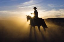 Cowboy mit seinem Pferd vor Sonnenuntergang: Mit Impfung?