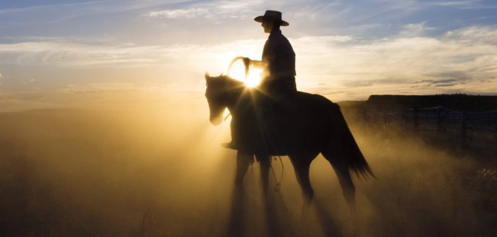 Cowboy mit seinem Pferd vor Sonnenuntergang: Mit Impfung?